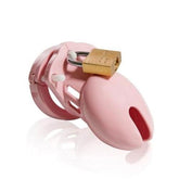 CB-6000 Kuisheidskooi - Roze - PlayForFun